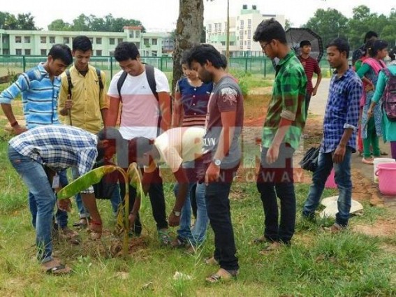Tripura NSS held special campaigning at Central University